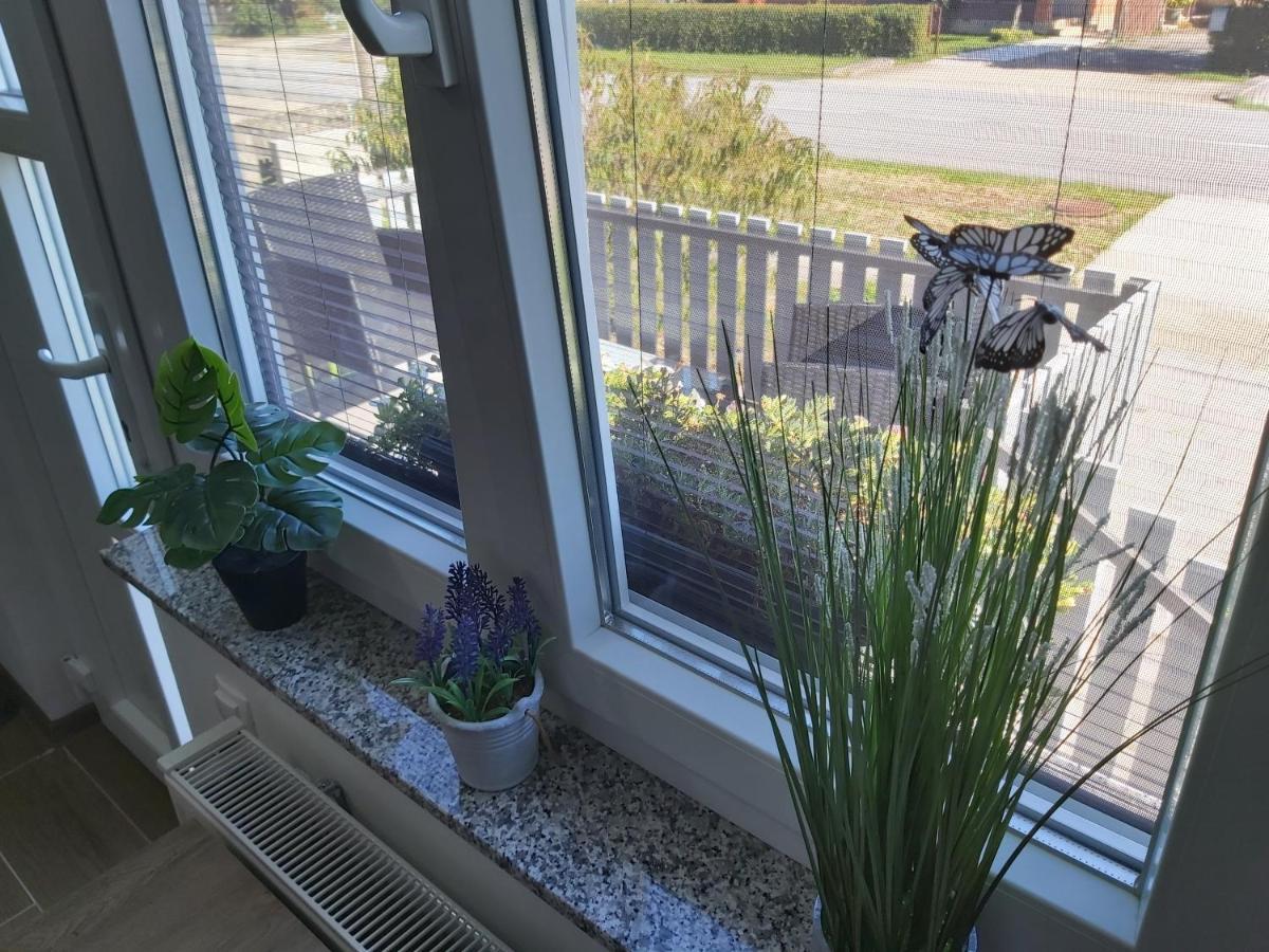 Studio Apartman Draga Velika Ludina Eksteriør billede